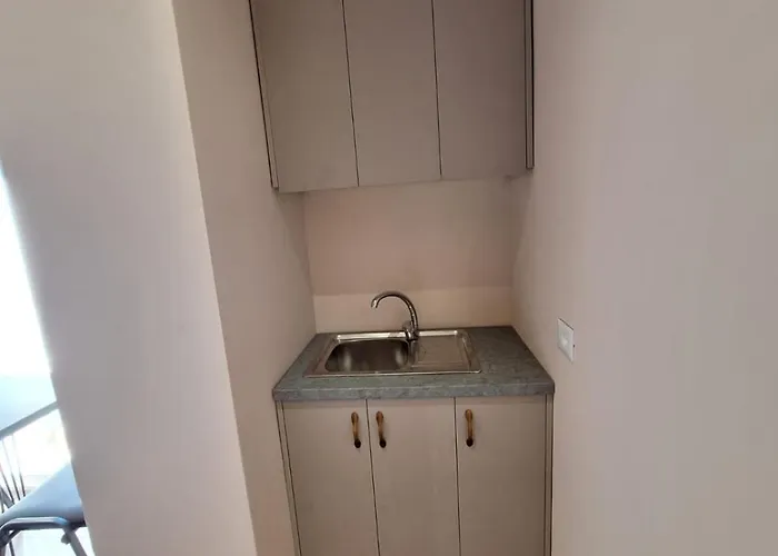 公寓 L 2 地拉那